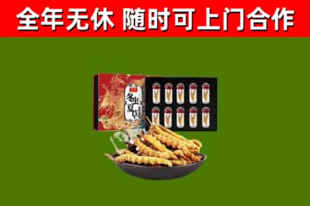 平阴回收冬虫夏草价格